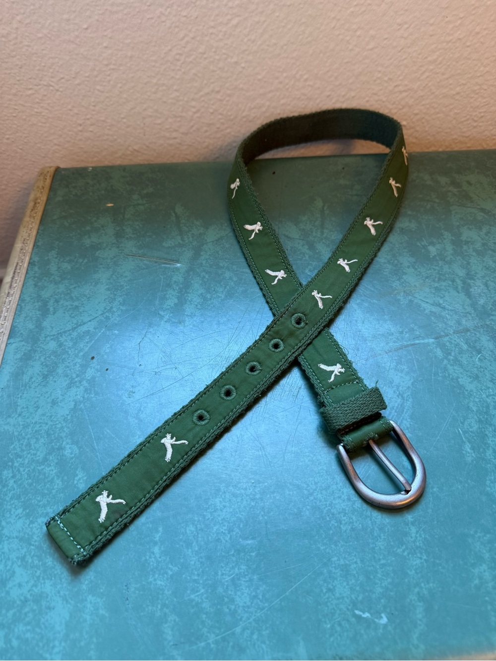 Green Embroidered Canvas Women’s AE Belt